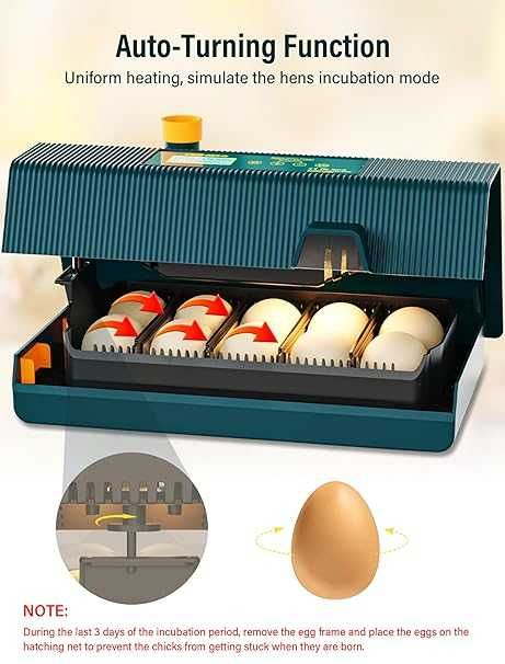 Напълно автоматичен инкубатор за кокошки, 10 яйца от Aissom
