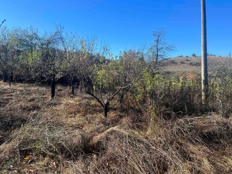 Продава се Парцел в с. Пролом, Област Пловдив - 700 кв.м за 11 €/кв.м - Снимка #1