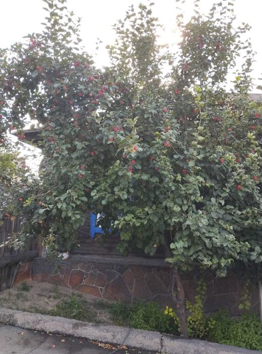 Продам частный дом