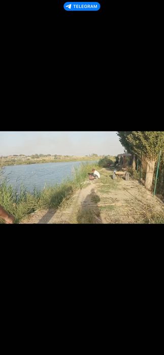 Пруды, рыбалка, клев отличный