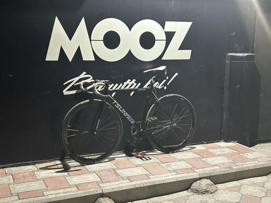 Fixie gear (tsunami snm 100)