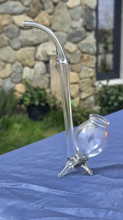 Pipa sticla pt  coniac