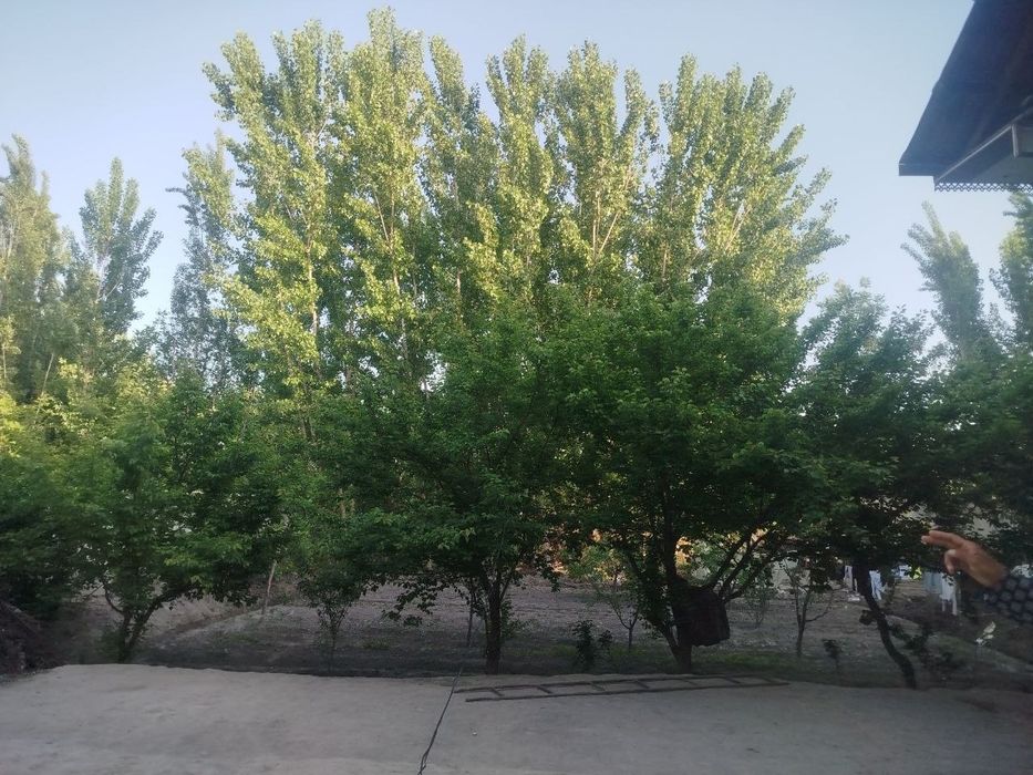 3 xonali uy sotiladi