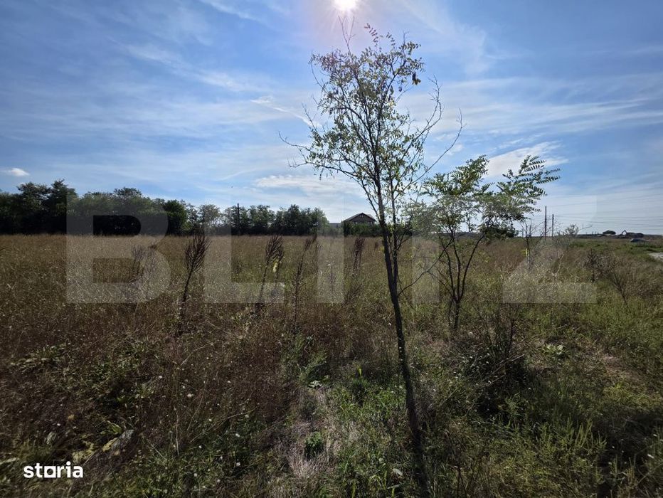 Vanzare teren 4 hectare