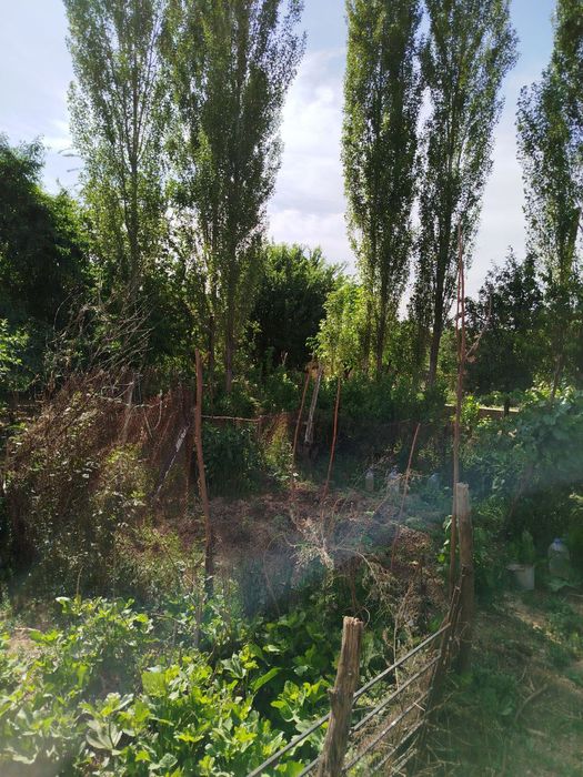 Продаётся Дом в Кибрайском районе