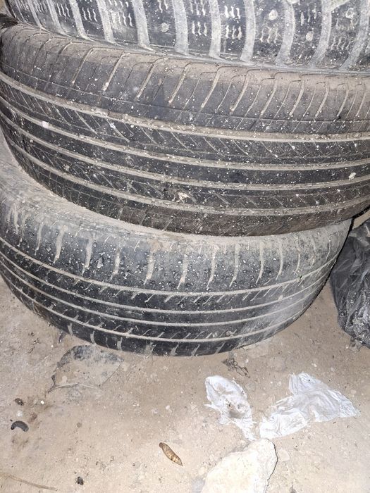 Продам шины на R15