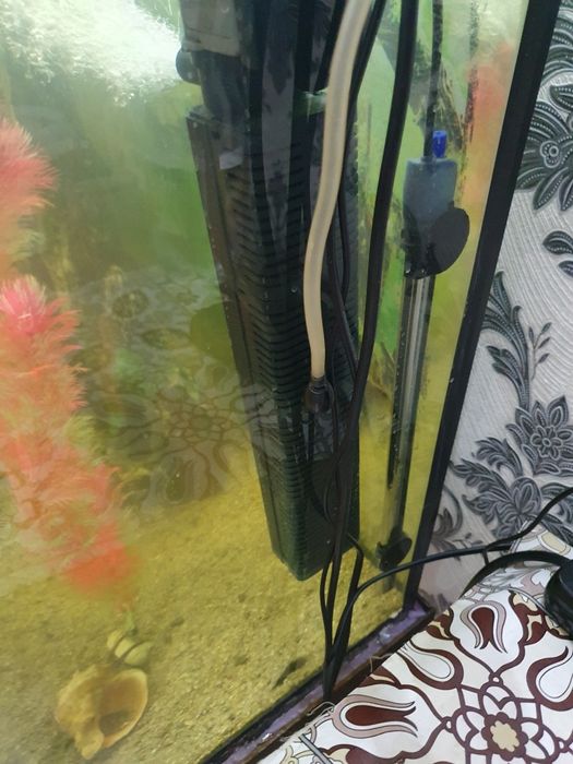 Продам Аквариум в комплекте!