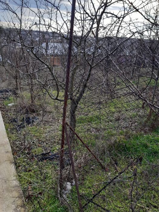 Casa batraneasca com Izvoarele