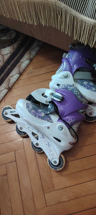 Ройлери 38ми номер