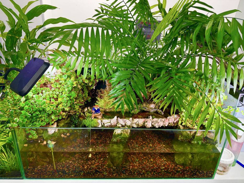 Продаётся эксклюзивный палюдариум аквариум (ручная работа)