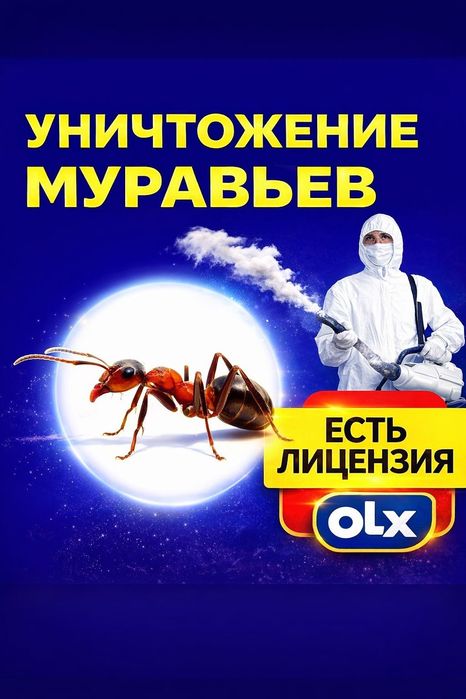 Дезинфекция от муравьев