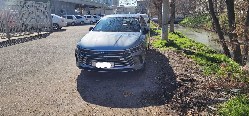 BYD chazor 120  Comfort DMI