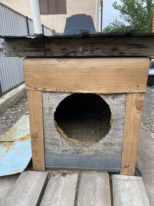 Будка для собаки (термо)