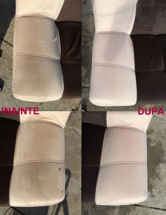 curator canapele și colțare