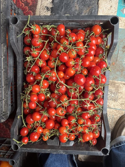 Арбуз, помидор, огурцы продажа