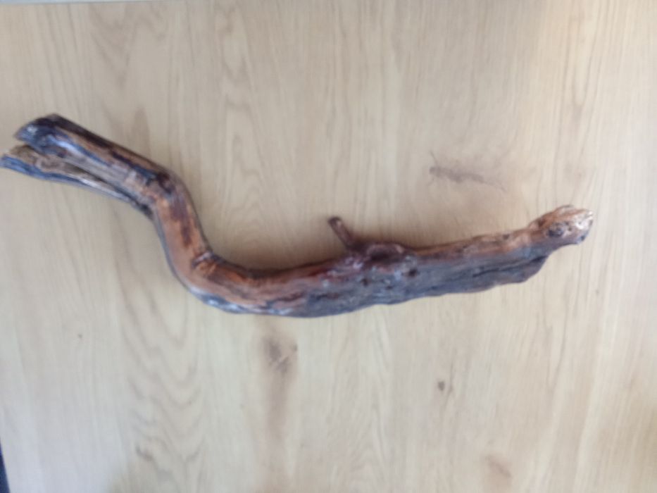 Decoruri acvariu/terariu