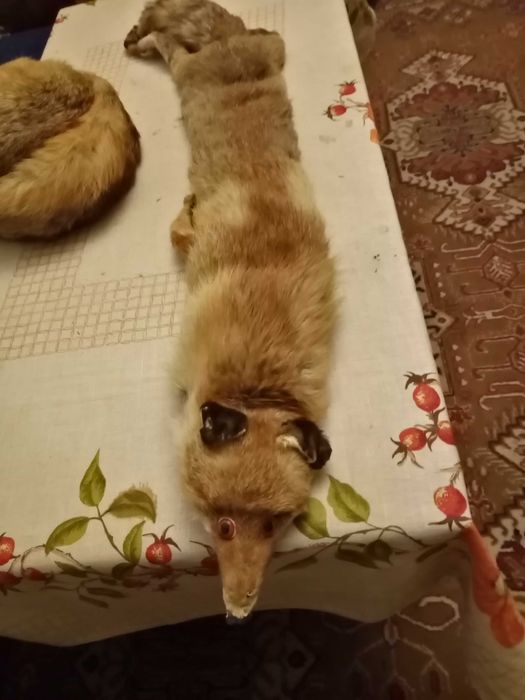 Дамска яка от цяла лисица