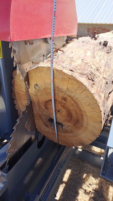 Дисков гатер банциг за разбичване на трупи -НОВ