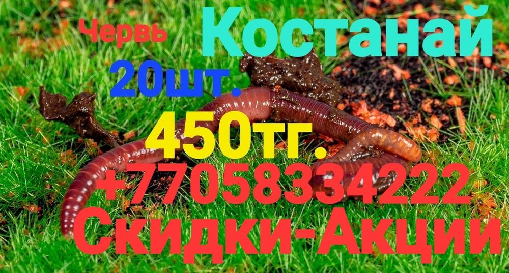 Черви для рыбалки костанай