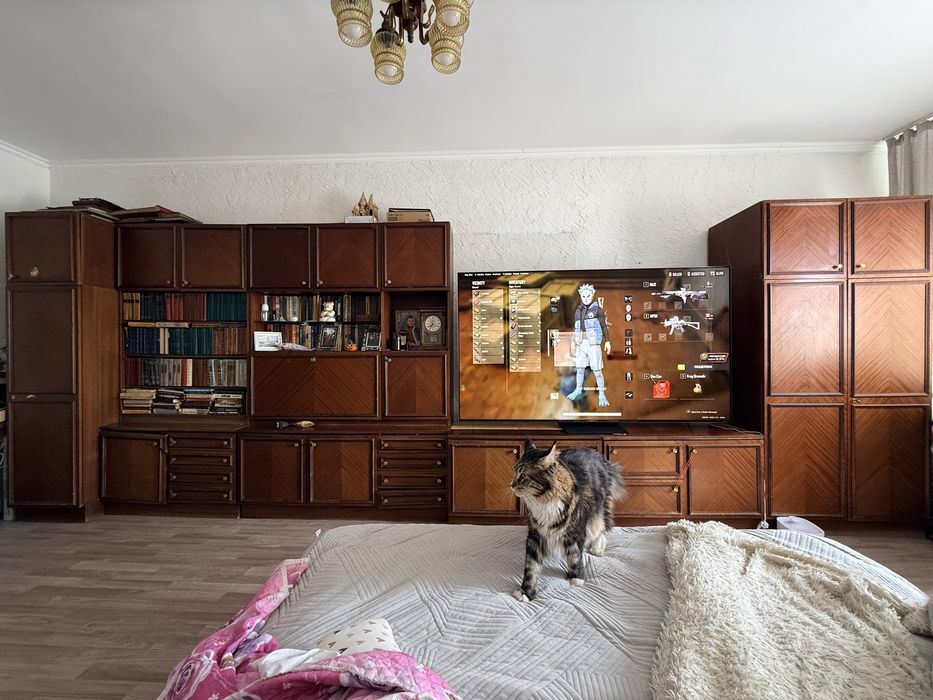 Бесплатно стенку