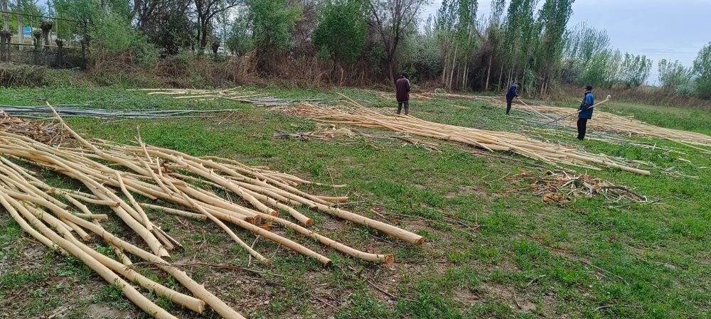 Каратал када сатылады