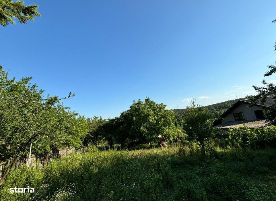 Teren intravilan Valea Adanca , 2540 metri Cod:155291