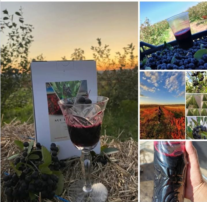 Suc natural pur de Aronia