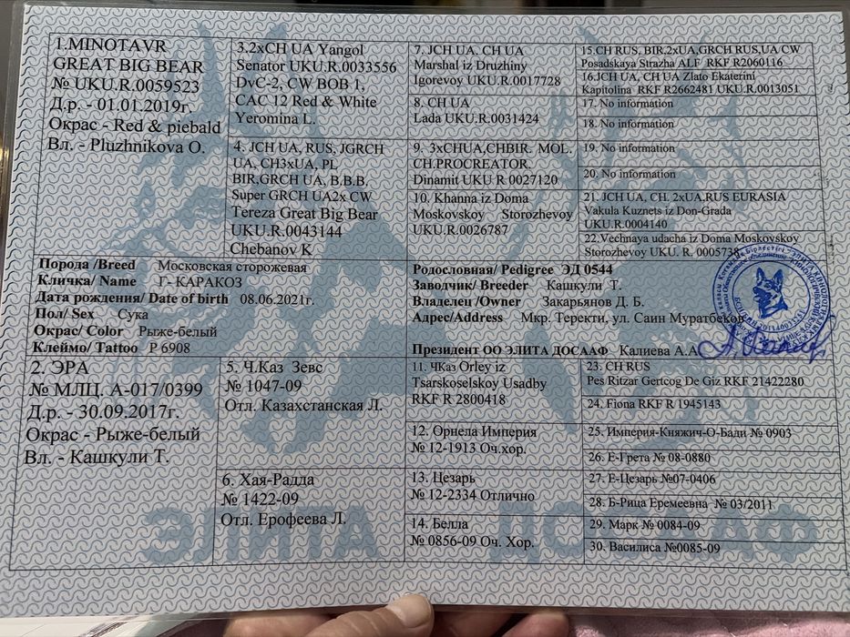 Продаются щенки московской сторожеврй