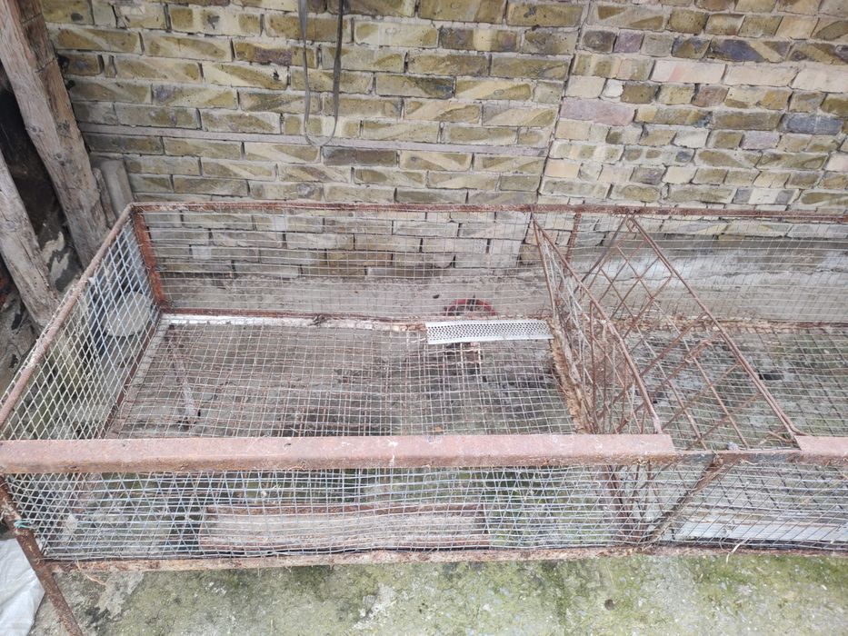 Зайчарник разделен на две