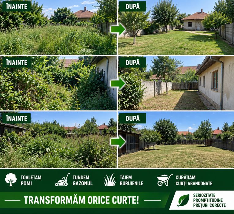Curățare curți și grădini – Tuns gazon, buruieni, toaletare pomi