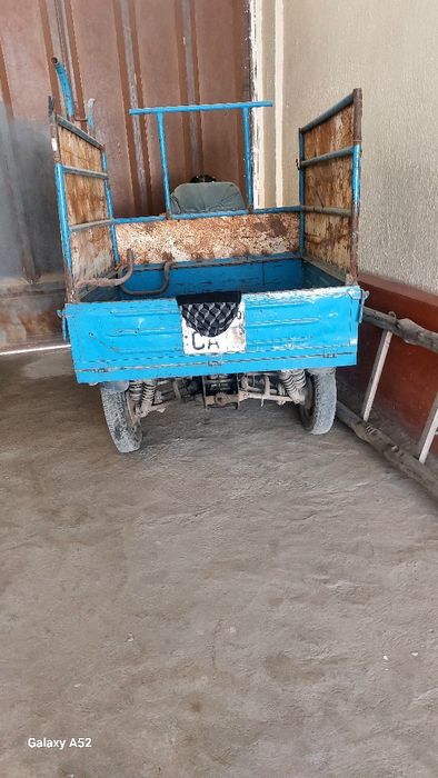 Муравей  матарол