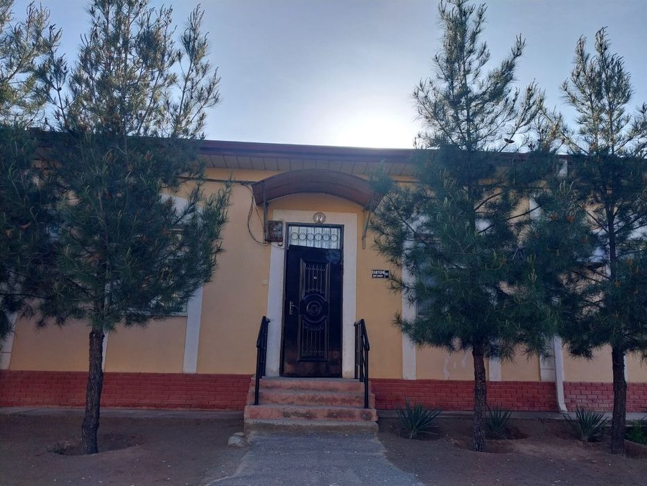 2 sotixli kotej 2017-yilgi