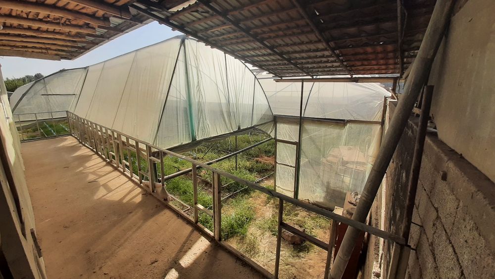 Продаю парник 15,5 сот