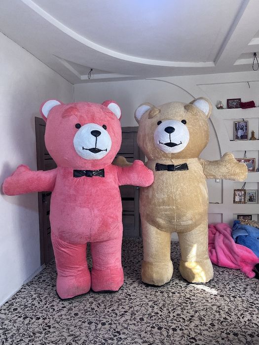 Teddy sotiladi barcha xildagi ranglari mavjut