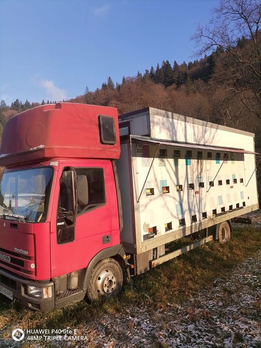 Camion omologat apicol