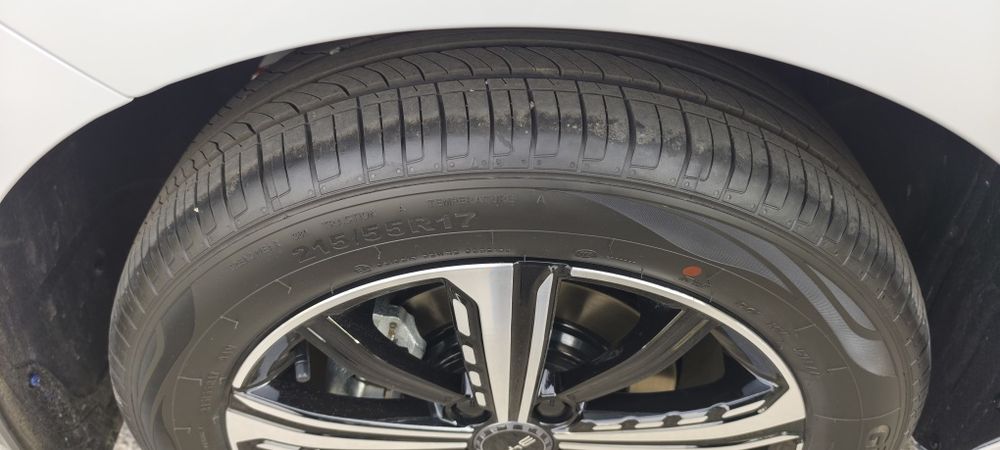 BYD Chazor flagship 120 full Позиция.