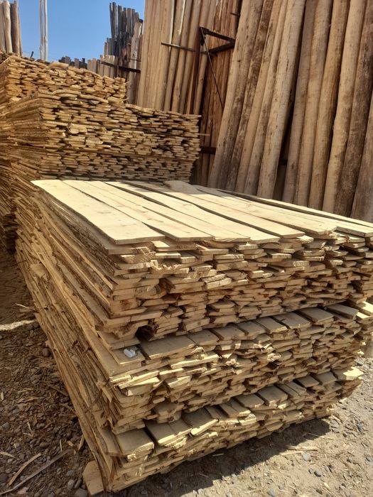 ARZON TERAK masulotlari