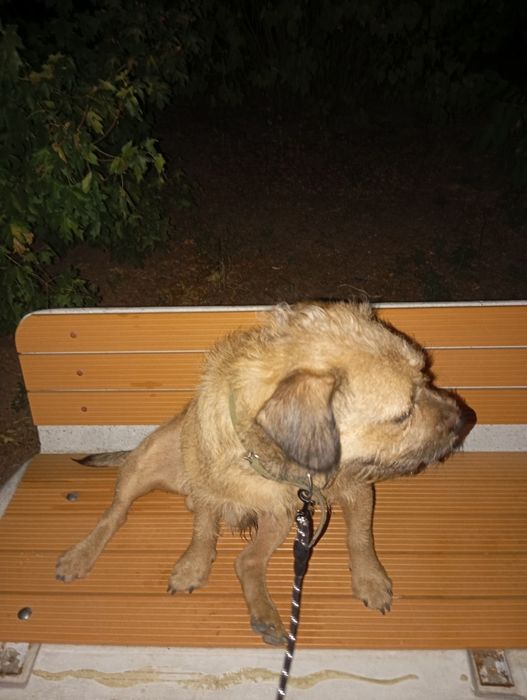 Вязка кабель 3 года