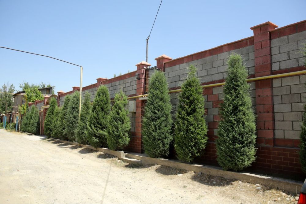 Продается участок 12 соток М. Улугбекский район