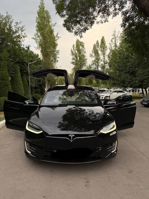 Tesla Model X Perfomance Duall Motor