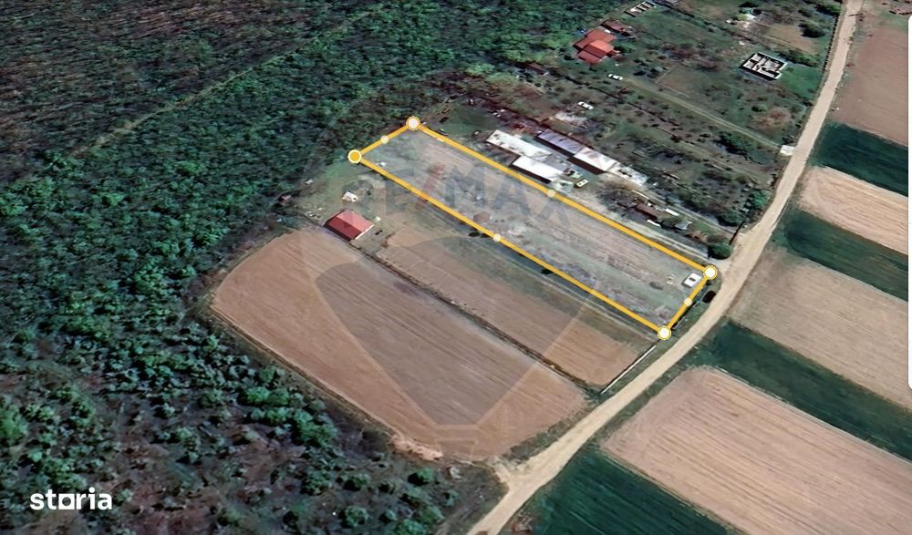 Teren Teisori 2200mp | deschidere la padure