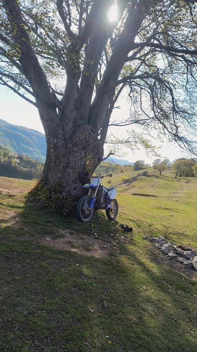 2005 Yamaha yz250f motor blocat