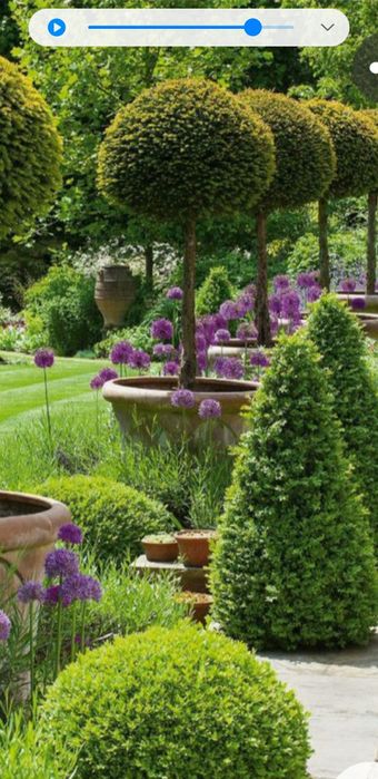 Spații verzi cu plante si gazon