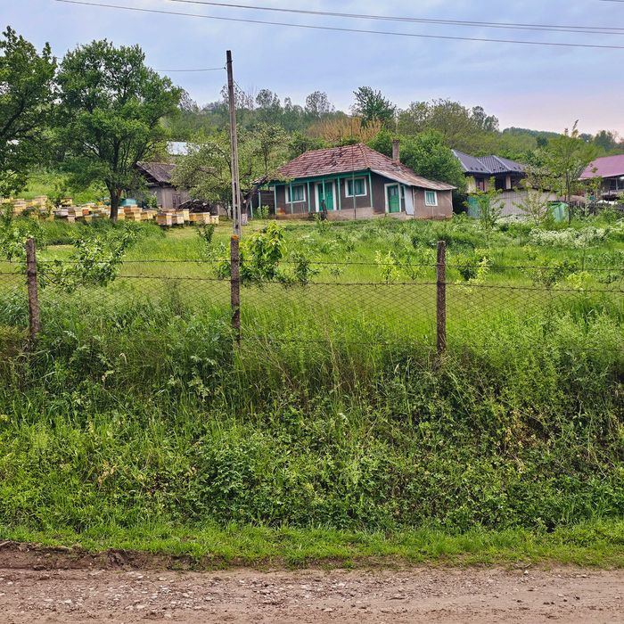 Particular Vând Casa + teren generos 5000 mp intravilan cu livada tanara  si vita de vie productiva.