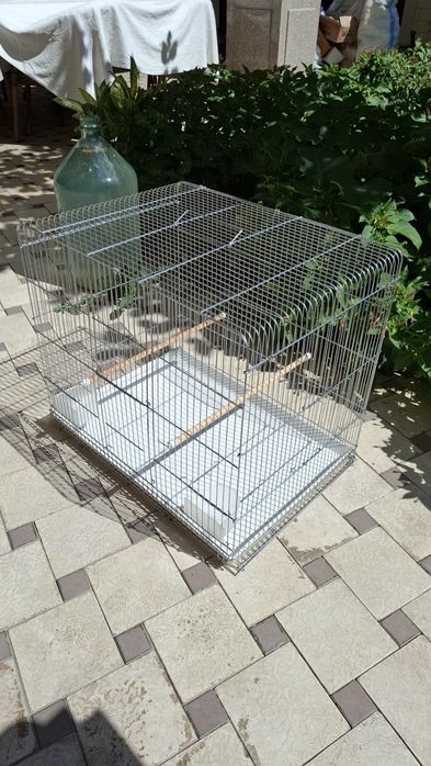 Qafas sotiladi holati zõr
