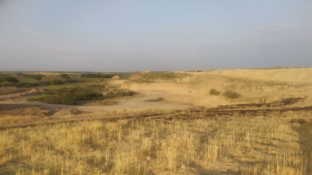 Чинозда ишлаб чикаришга жой сотилади.4гектар