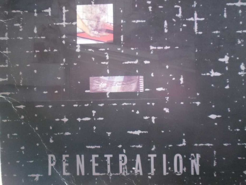 Продавам  плочи западна песа