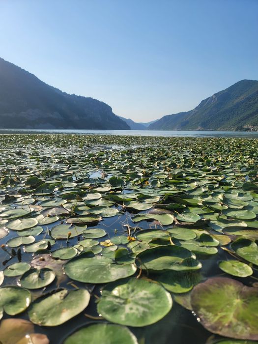 Vand teren intravilan pe malul Dunarii zona Svinita Berzasca , Clisura