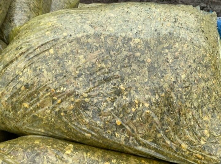 Selos 21.000min mol qoʻyga