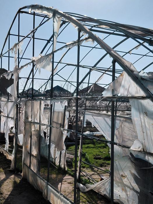 Теплица сатылады